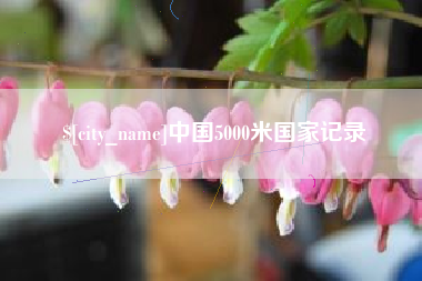 新乡中国5000米国家记录