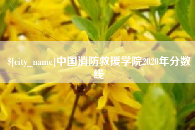 新乡中国消防救援学院2020年分数线