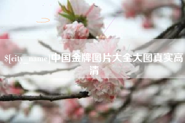 新乡中国金牌图片大全大图真实高清