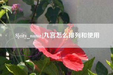 新乡九宫怎么排列和使用