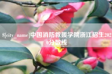 新乡中国消防救援学院浙江招生2020分数线