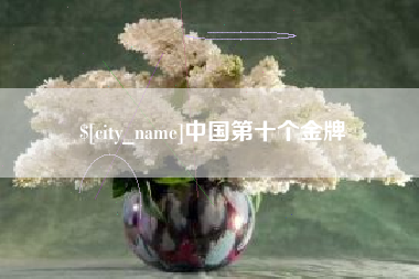 新乡中国第十个金牌