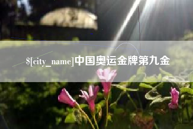 新乡中国奥运金牌第九金