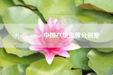 新乡中国六块金牌分别是