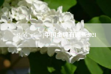 新乡中国金牌有哪些2021