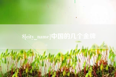 新乡中国的几个金牌