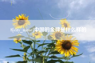新乡中国的金牌是什么样的