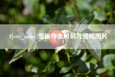 新乡奥运夺金时刻九宫格图片