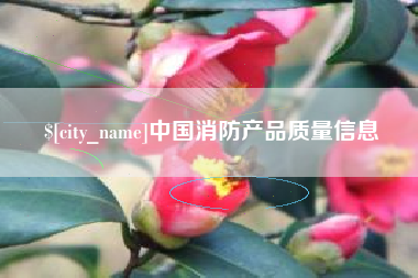 新乡中国消防产品质量信息