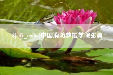 新乡中国消防救援学院张勇