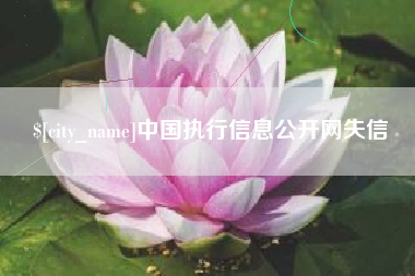 新乡中国执行信息公开网失信