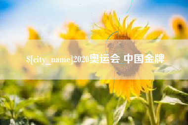 新乡2020奥运会 中国金牌