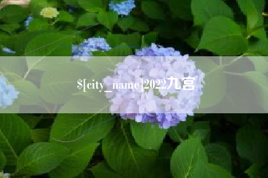新乡2022九宫