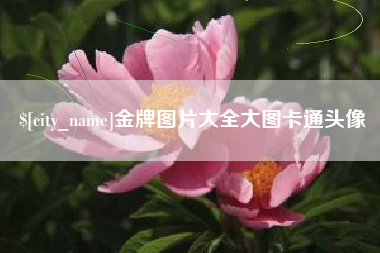 新乡金牌图片大全大图卡通头像