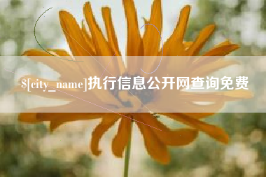 新乡执行信息公开网查询免费
