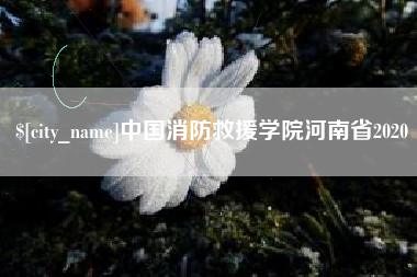 新乡中国消防救援学院河南省2020